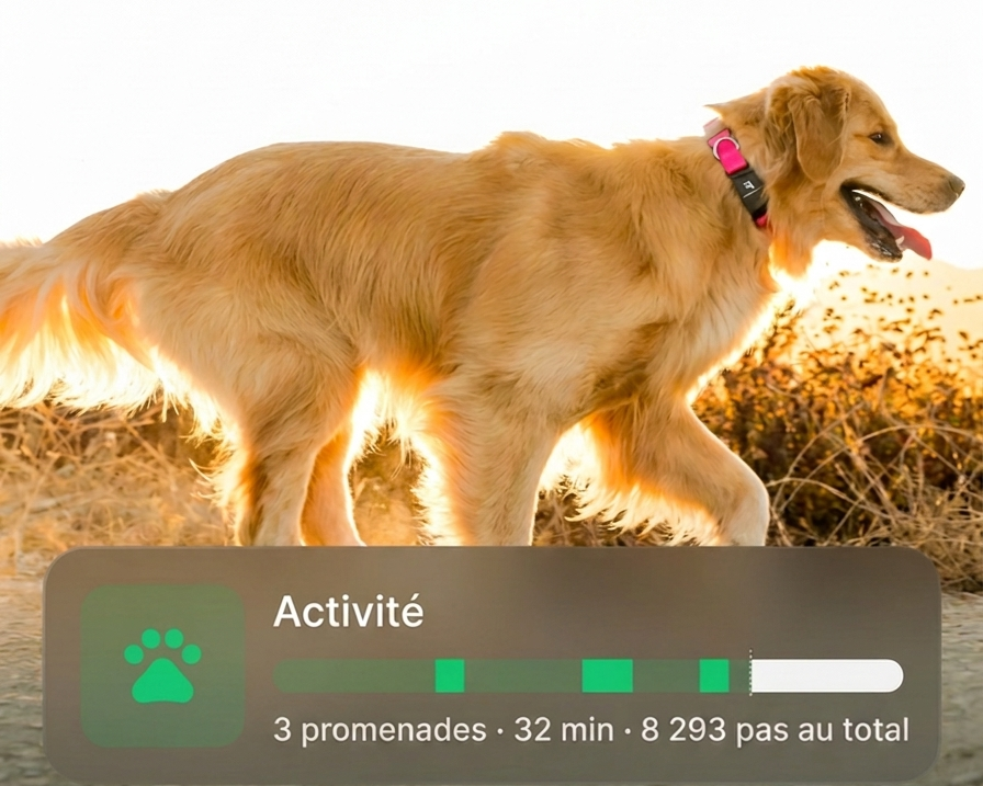 Séries 3+